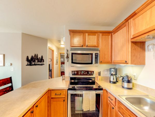 Steamboat Springs Condo 950496