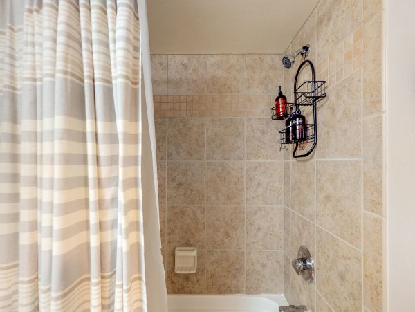 Steamboat Springs Condo 950496