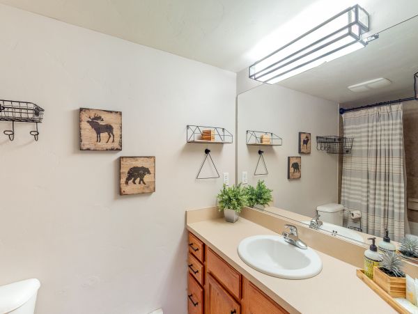 Steamboat Springs Condo 950496