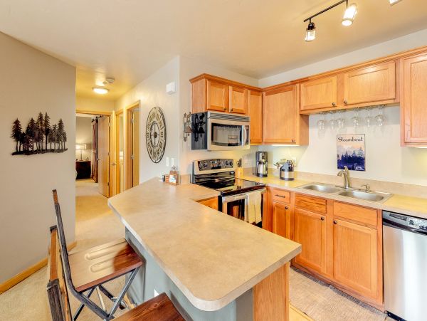 Steamboat Springs Condo 950496