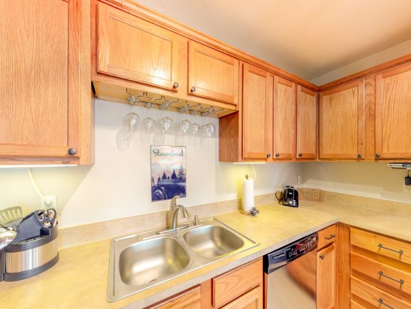 Steamboat Springs Condo 950496