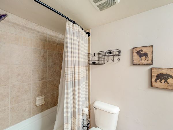 Steamboat Springs Condo 950496