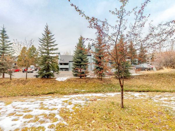 Steamboat Springs Condo 950496