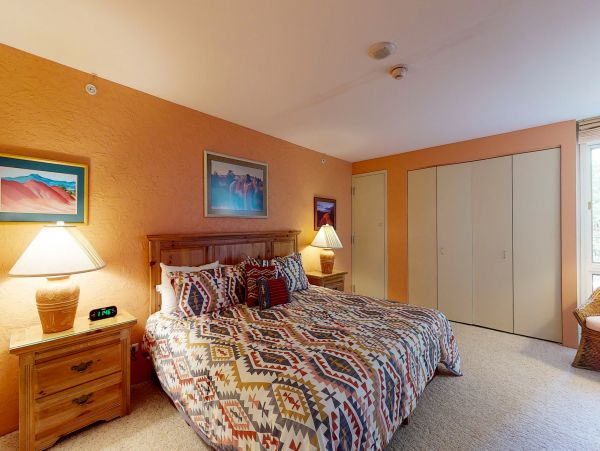 Ski in Ski Out Condo in Lionshead