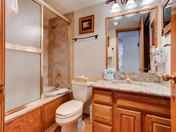 Steamboat Springs Condo 950500