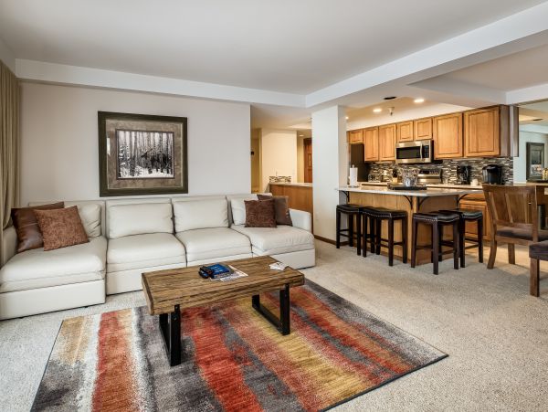 Steamboat Springs Condo 950501