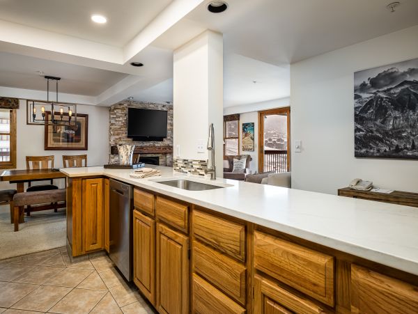 Steamboat Springs Condo 950501
