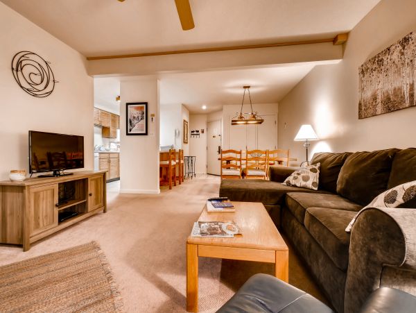Steamboat Springs Condo 950511