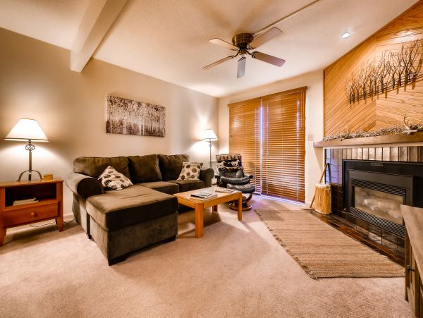 Steamboat Springs Condo 950511