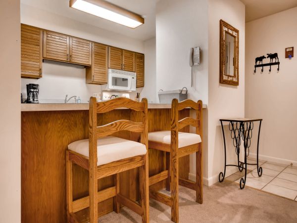 Steamboat Springs Condo 950511