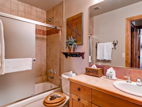 Steamboat Springs Condo 950512