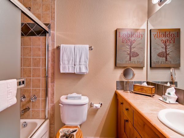 Steamboat Springs Condo 950512