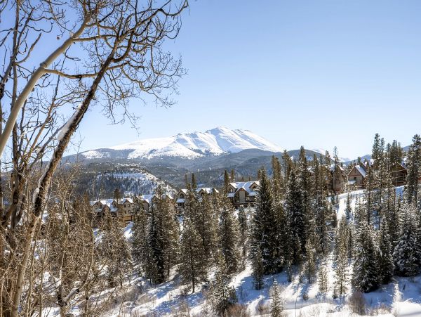 Breckenridge Home 950518