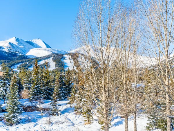 Breckenridge Home 950518