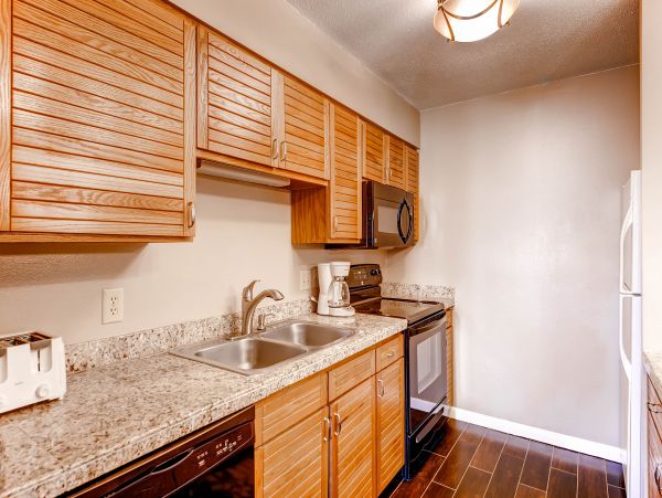 Steamboat Springs Condo 950521