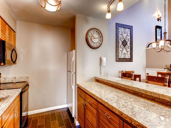 Steamboat Springs Condo 950521
