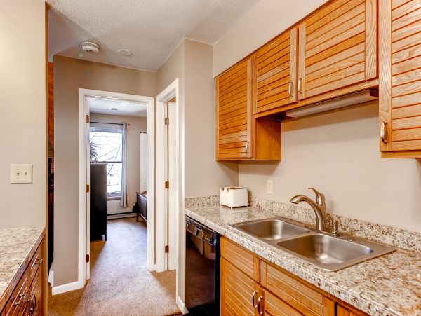 Steamboat Springs Condo 950521