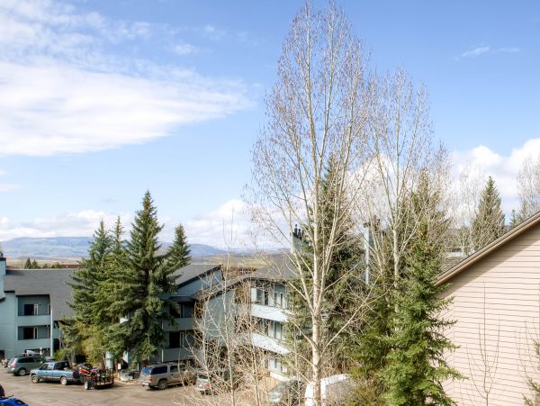 Steamboat Springs Condo 950521