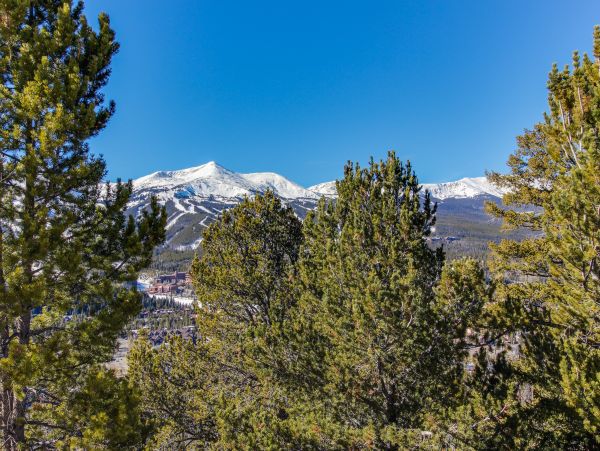 Breckenridge Home 950522