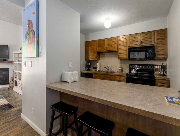 Steamboat Springs Condo 950527