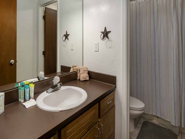 Steamboat Springs Condo 950527