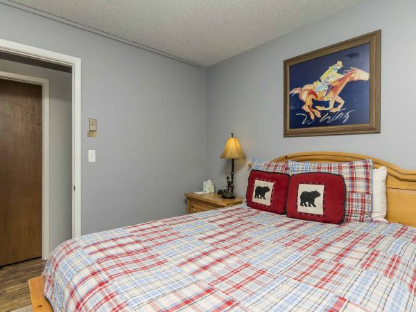 Steamboat Springs Condo 950527
