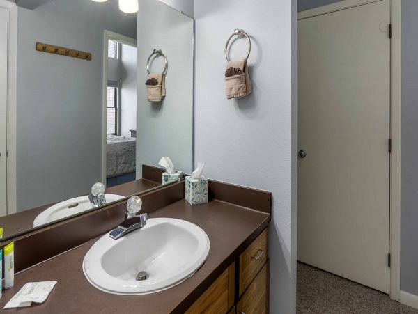 Steamboat Springs Condo 950527
