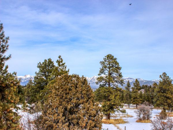 Breckenridge Home 950528