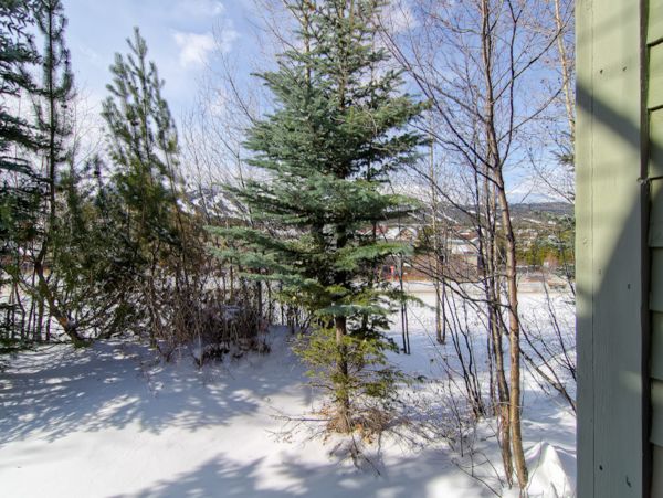 Breckenridge Condo 950529