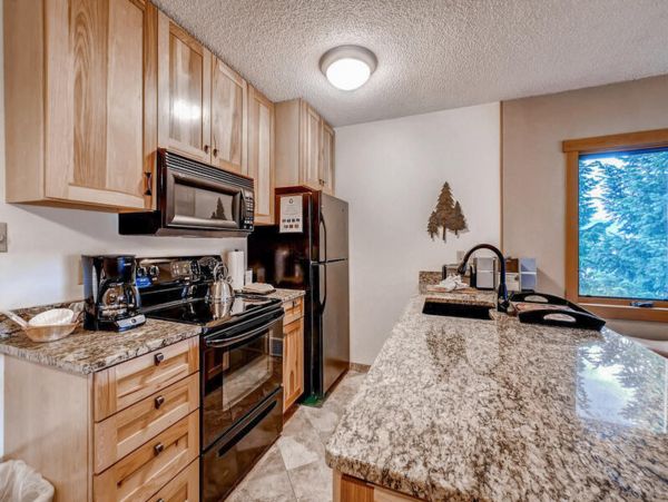 Steamboat Springs Condo 950530
