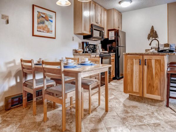Steamboat Springs Condo 950530