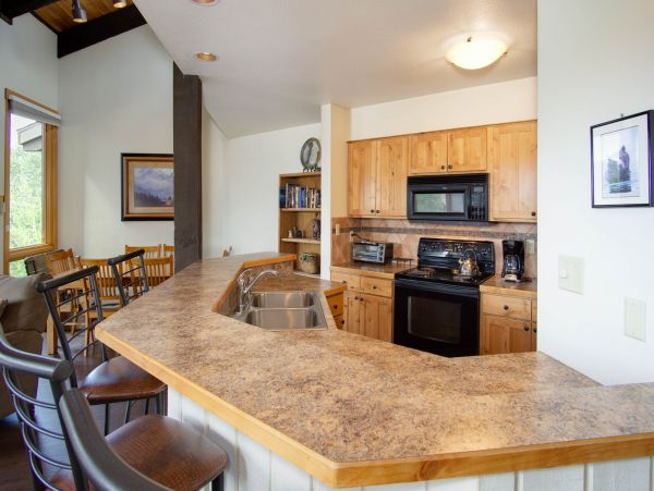 Steamboat Springs Condo 950536
