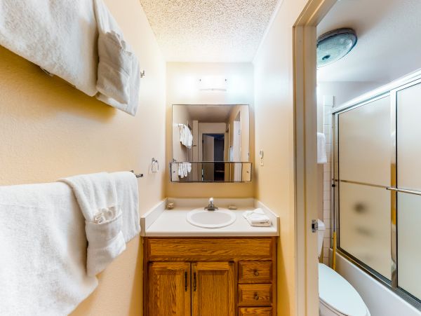 Breckenridge Condo 950537
