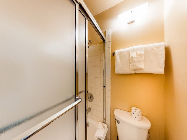 Breckenridge Condo 950537