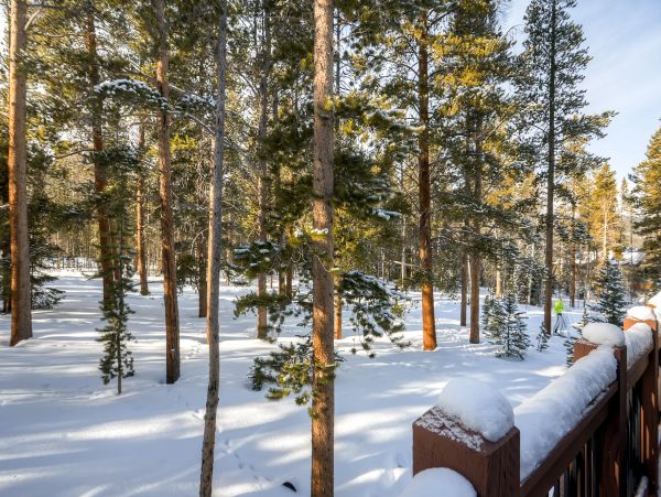 Breckenridge Home 950543