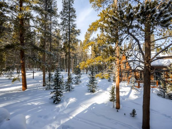 Breckenridge Home 950543