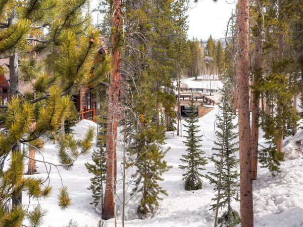 Breckenridge Home 950543