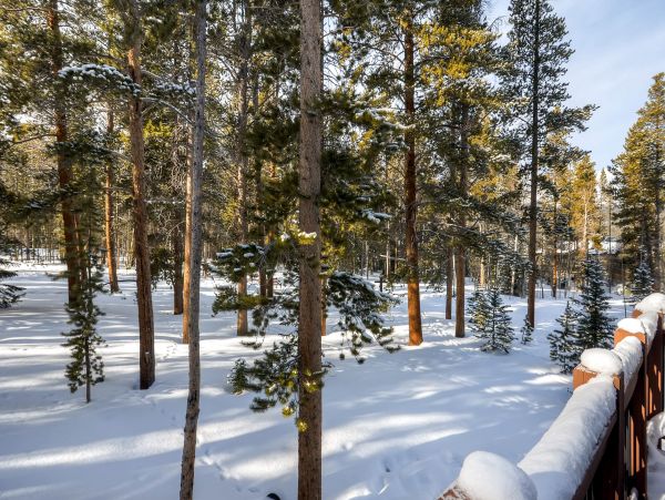 Breckenridge Home 950543