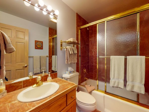 Vail Lionshead Condo 950544