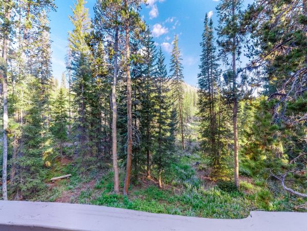 Winter Park Condo 950549
