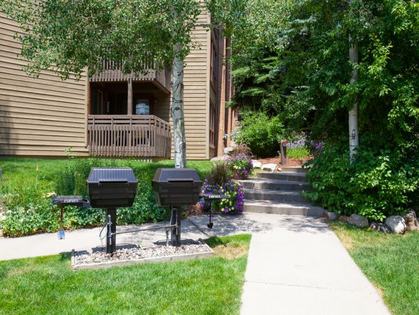 Steamboat Springs Condo 950552