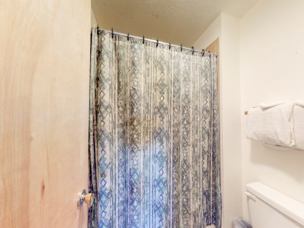 Breckenridge Condo 950561