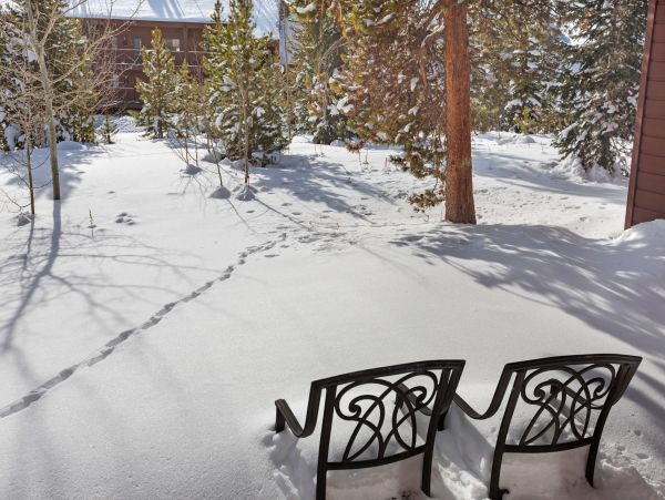 Breckenridge Condo 950561