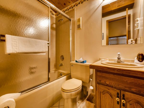 Steamboat Springs Condo 950564