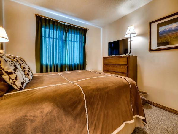 Steamboat Springs Condo 950564