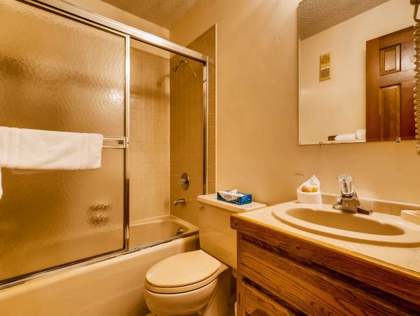 Steamboat Springs Condo 950564