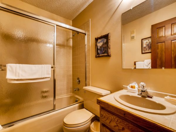 Steamboat Springs Condo 950564