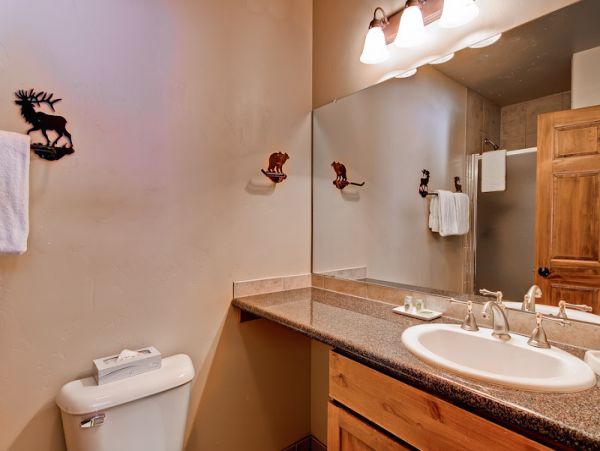 Steamboat Springs Condo 950566