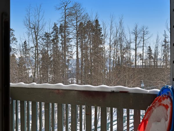 Breckenridge Condo 950578