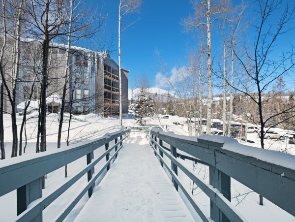 Breckenridge Condo 950578